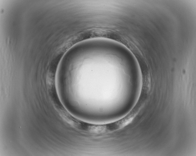 X0000082200135200701191451