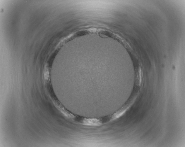 X0000082200137200701191451