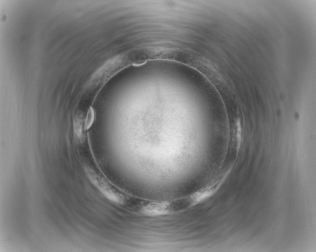 X0000082200138200701191451