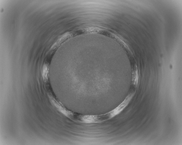 X0000082200142200701191451