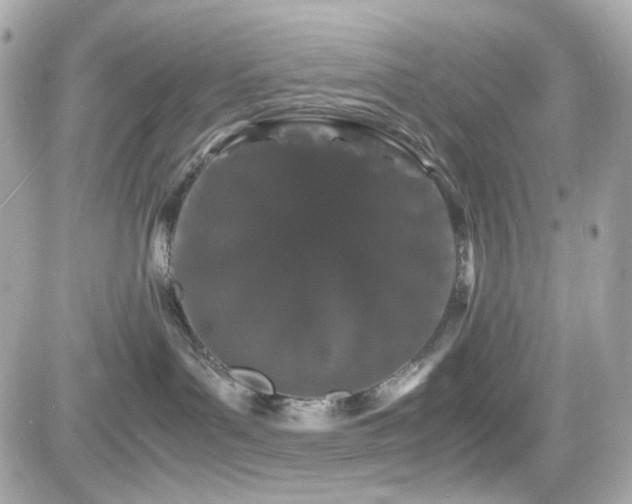 X0000082200143200701191451