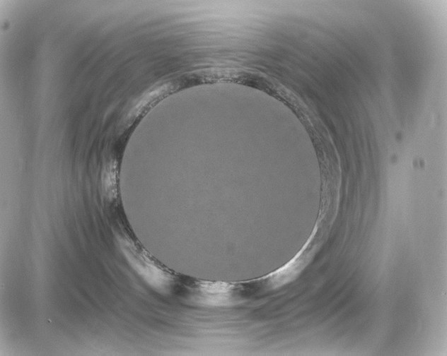 X0000082200144200701191451