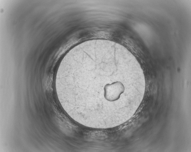 X0000082200146200701191451