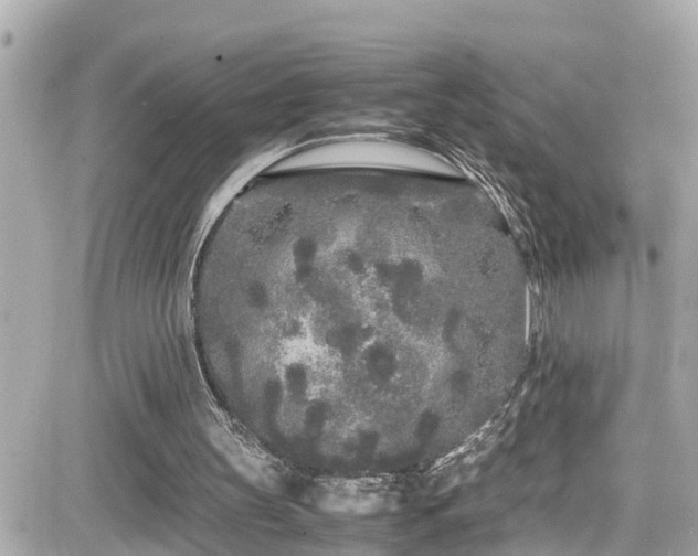 X0000082200147200701191451