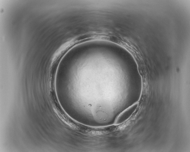 X0000082200149200701191451