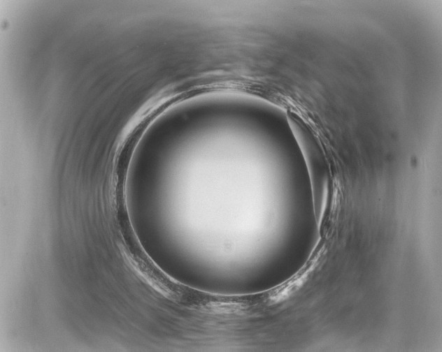 X0000082200150200701191451