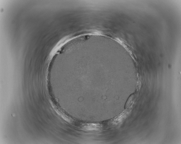 X0000082200151200701191451