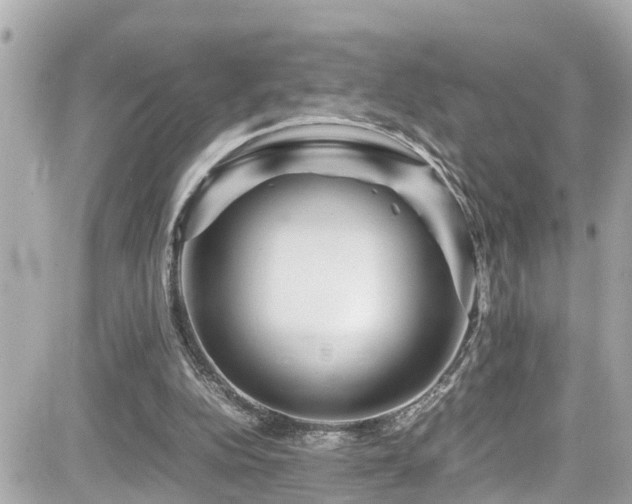 X0000082200152200701191451