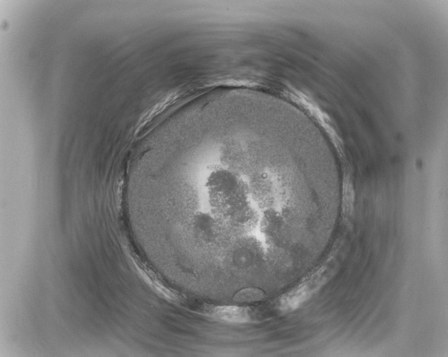 X0000082200153200701191451