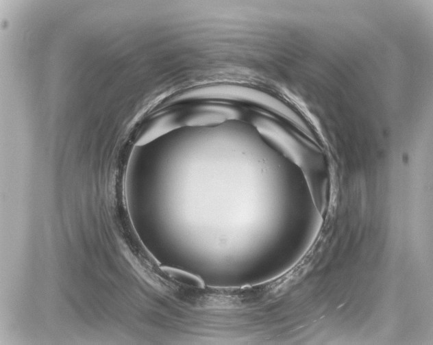 X0000082200154200701191451