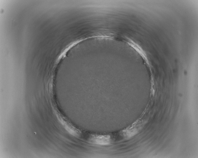 X0000082200155200701191451