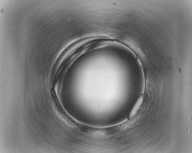 X0000082200156200701191451