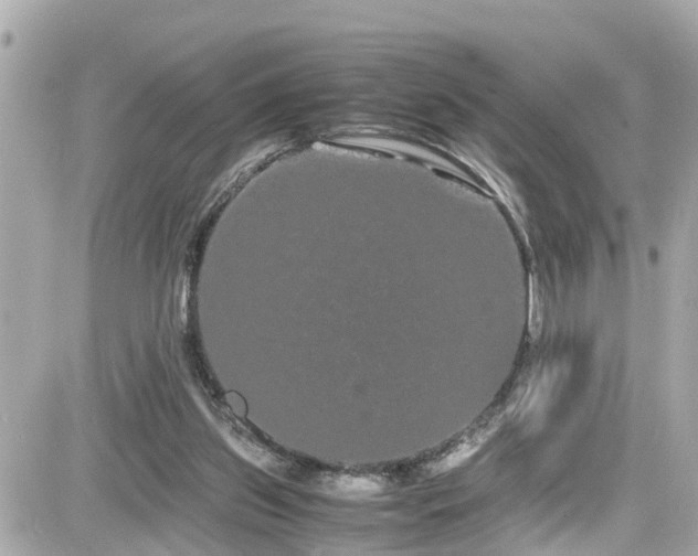 X0000082200157200701191451