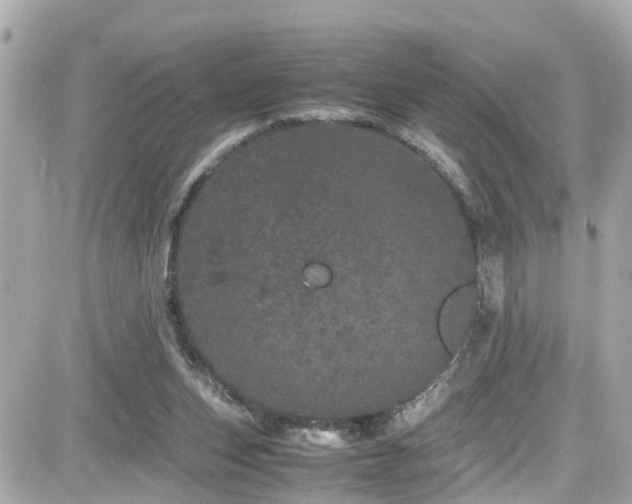 X0000082200159200701191451