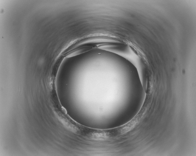 X0000082200160200701191451