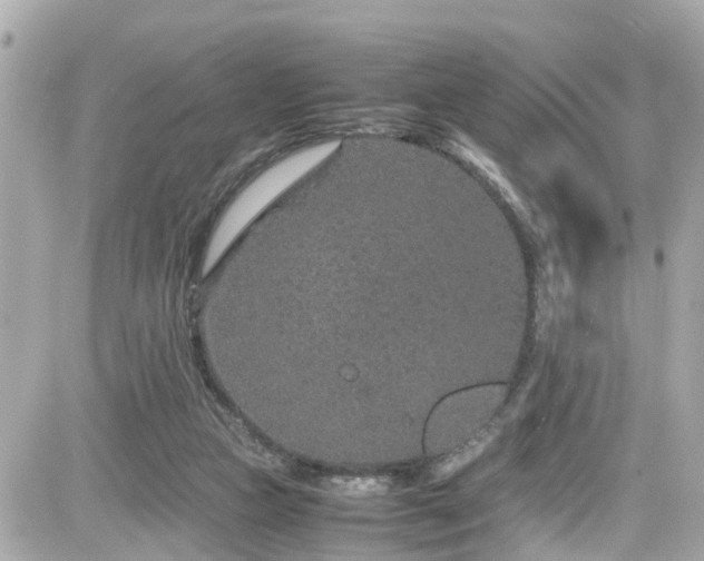 X0000082200161200701191451