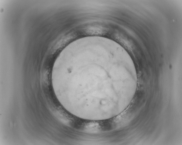 X0000082200162200701191451