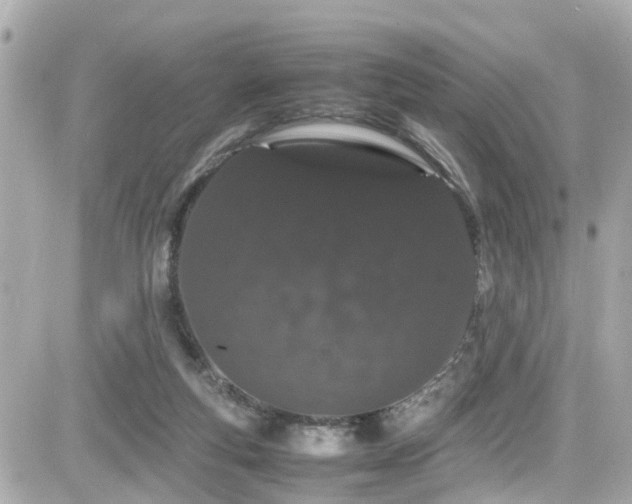 X0000082200163200701191451