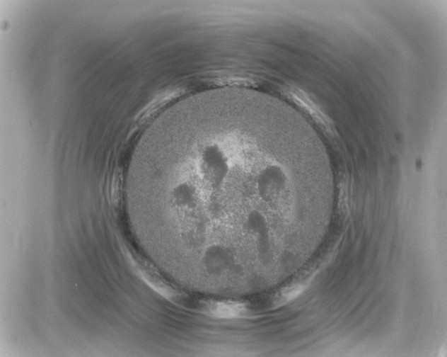 X0000082200165200701191451