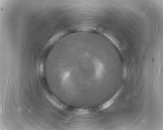 X0000082200166200701191451