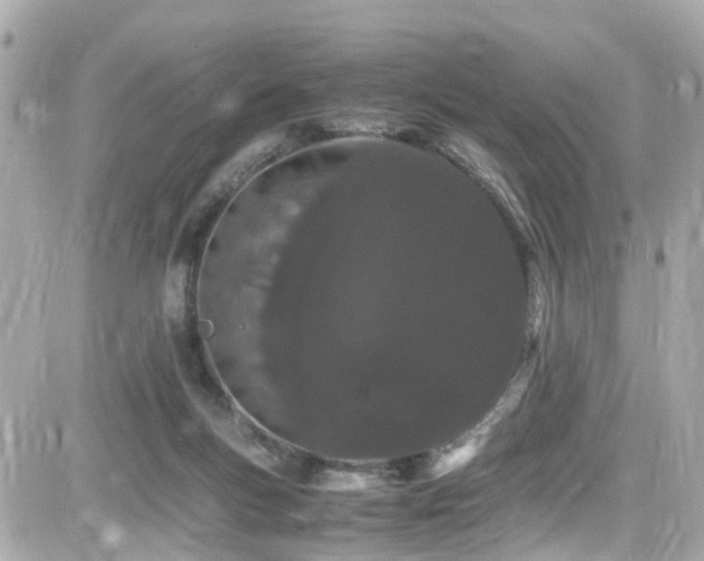 X0000082200167200701191451