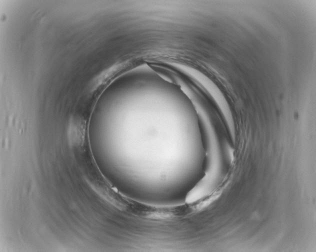 X0000082200168200701191451