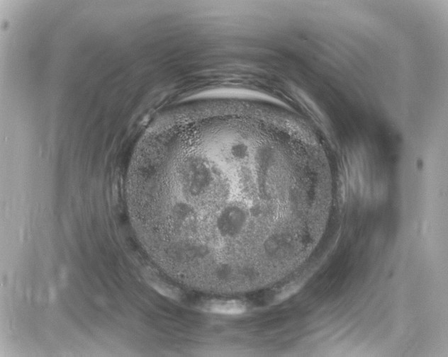 X0000082200169200701191451