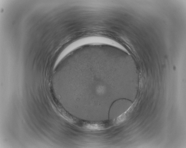 X0000082200171200701191451