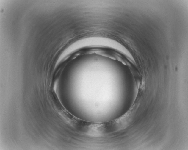 X0000082200172200701191451