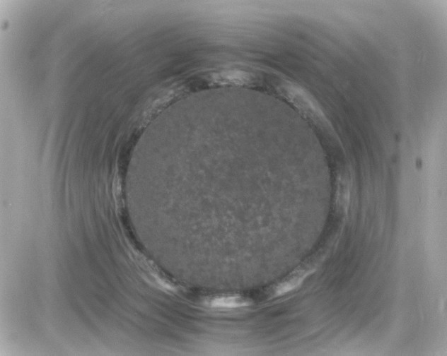 X0000082200173200701191451