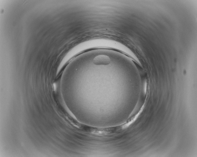 X0000082200174200701191451