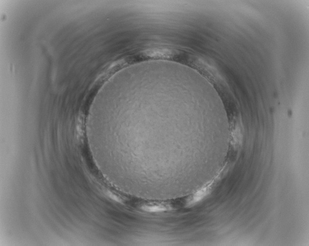 X0000082200175200701191451