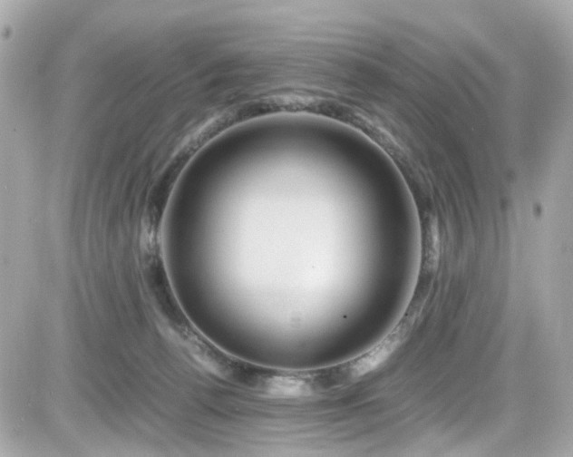 X0000082200176200701191451