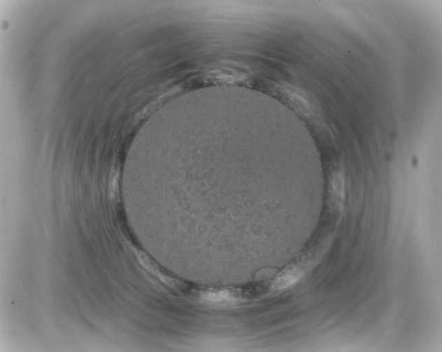 X0000082200177200701191451