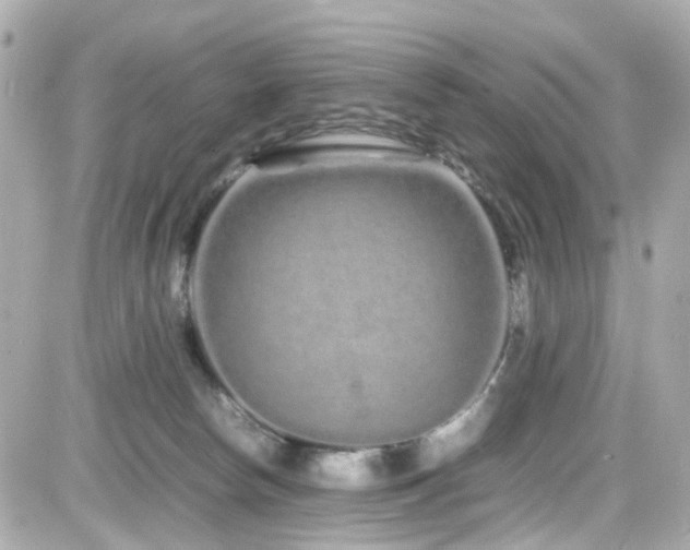 X0000082200178200701191451