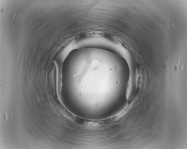 X0000082200180200701191451