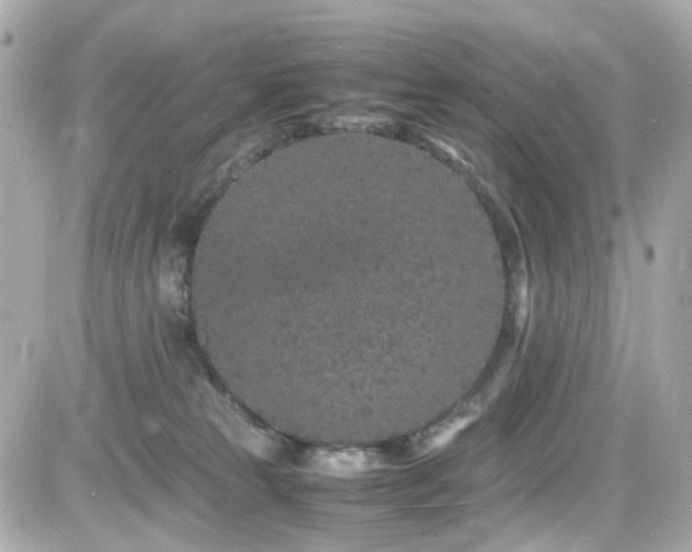 X0000082200181200701191451