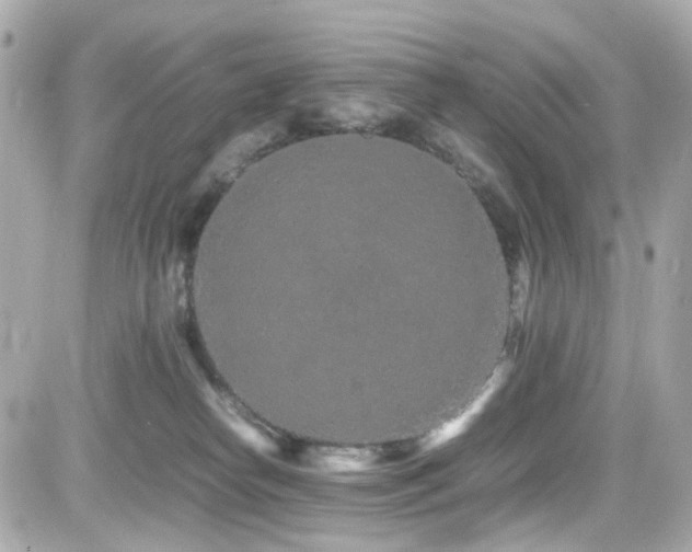 X0000082200182200701191451