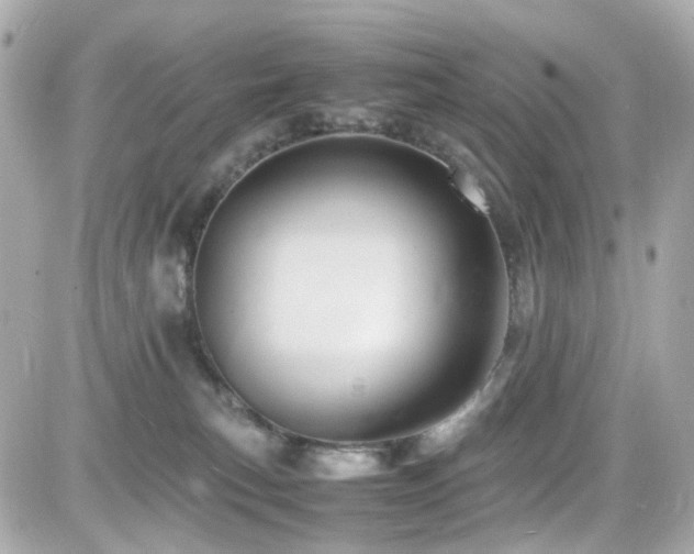 X0000082200183200701191451