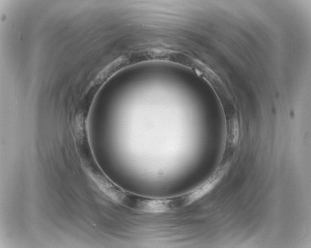 X0000082200184200701191451