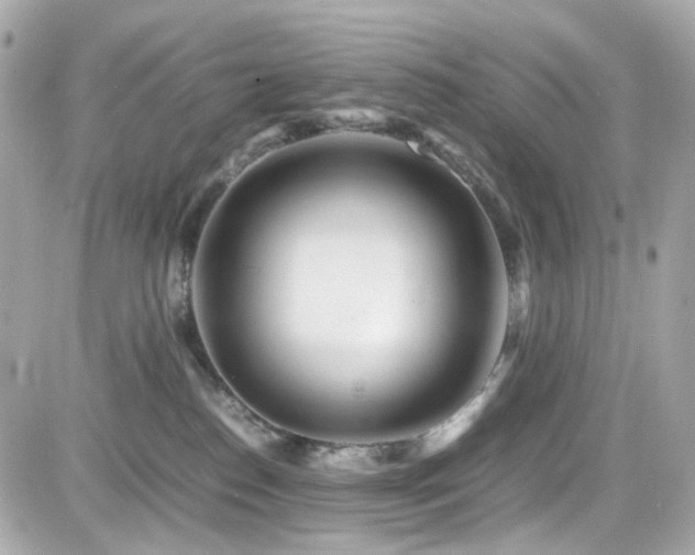 X0000082200186200701191451