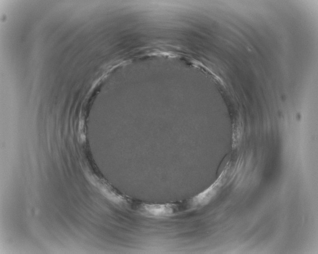 X0000082200187200701191451