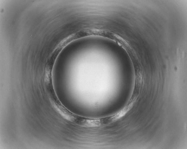 X0000082200188200701191451