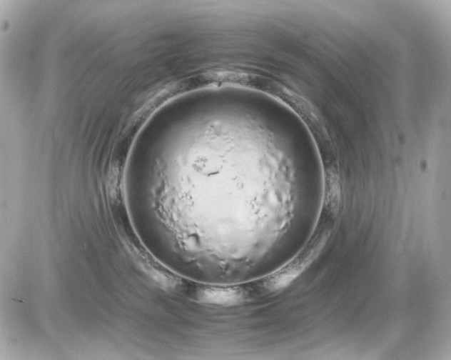 X0000082200189200701191451