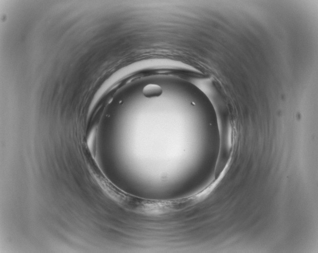 X0000082200190200701191451