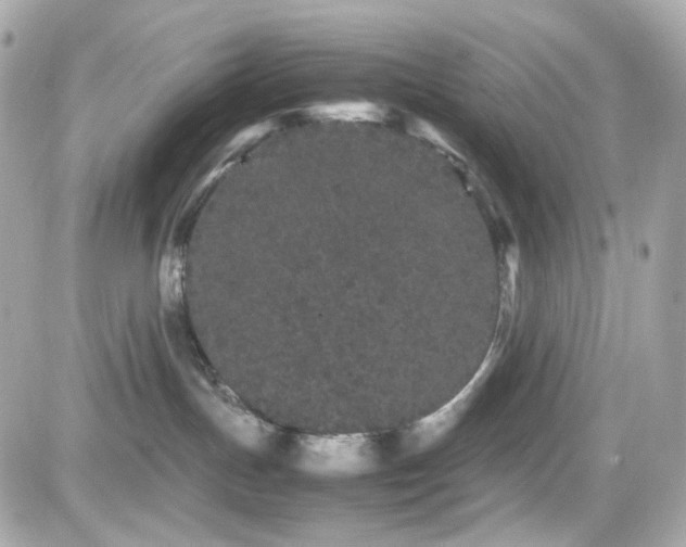 X0000082200191200701191451