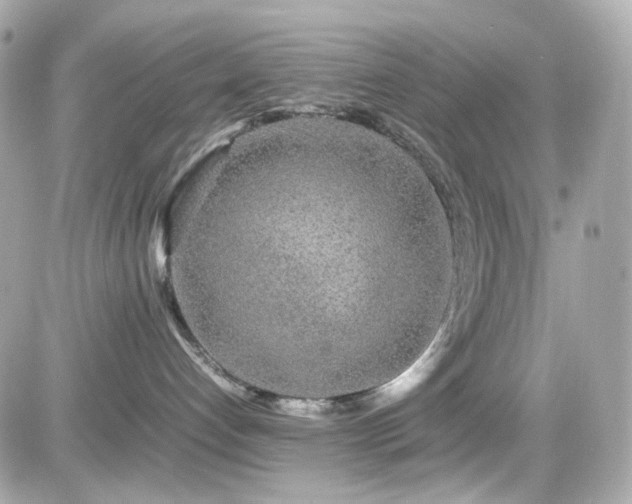 X0000082200192200701191451