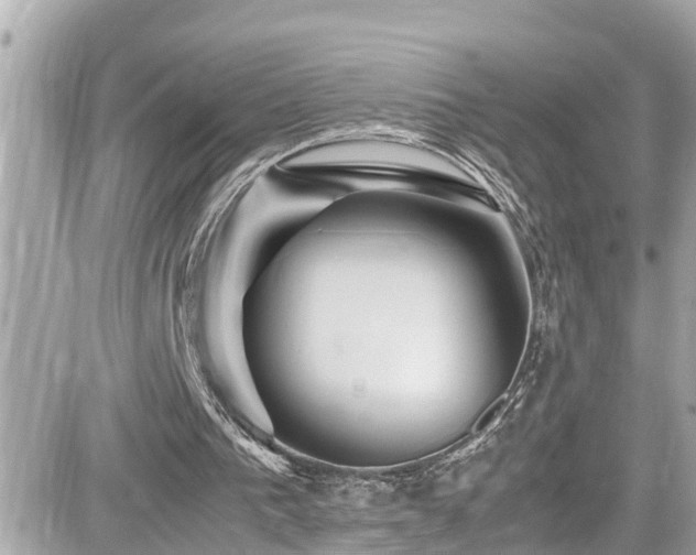 X0000082200193200701191451