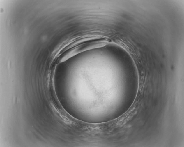 X0000082200194200701191450