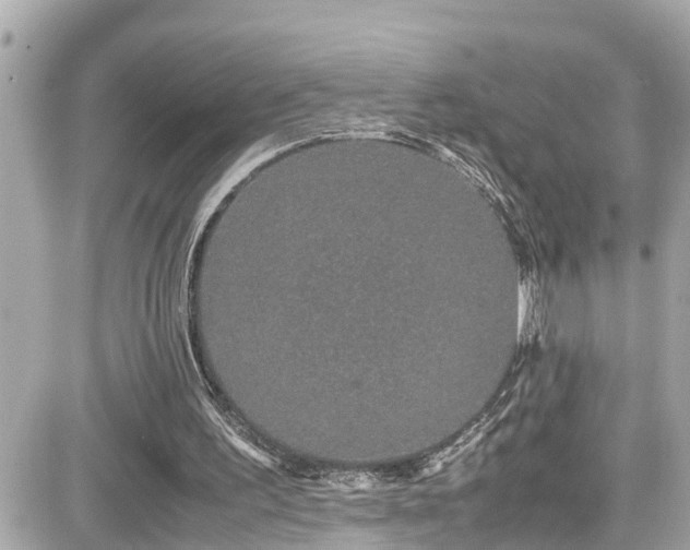 X0000082200195200701191450